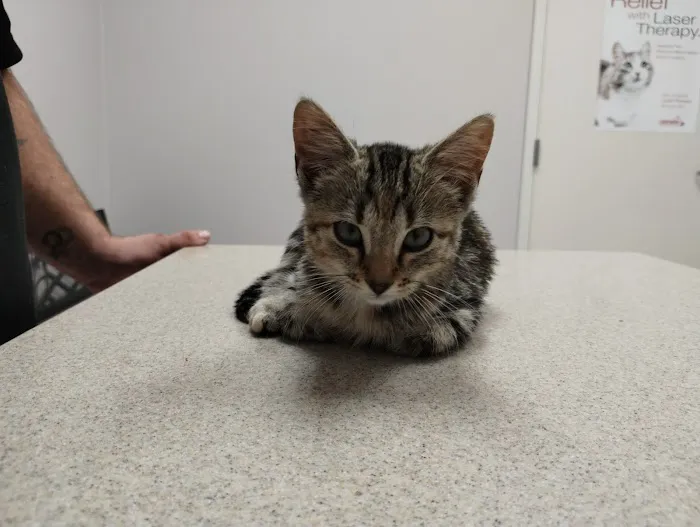 Animal Clinic of S.E. Kansas 8