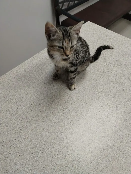Animal Clinic of S.E. Kansas 10