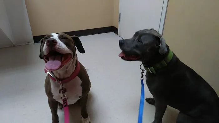 Animal Clinic of S.E. Kansas 4