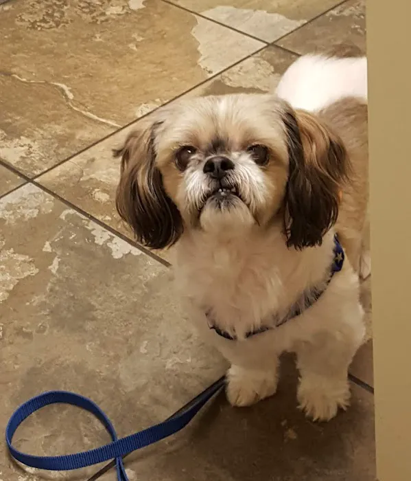 Logan County Animal Clinic 5