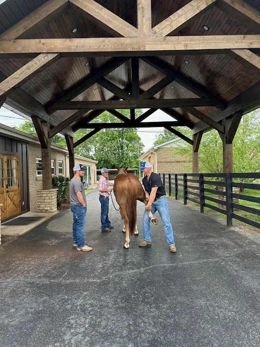Logan Bethel Veterinary Services 8