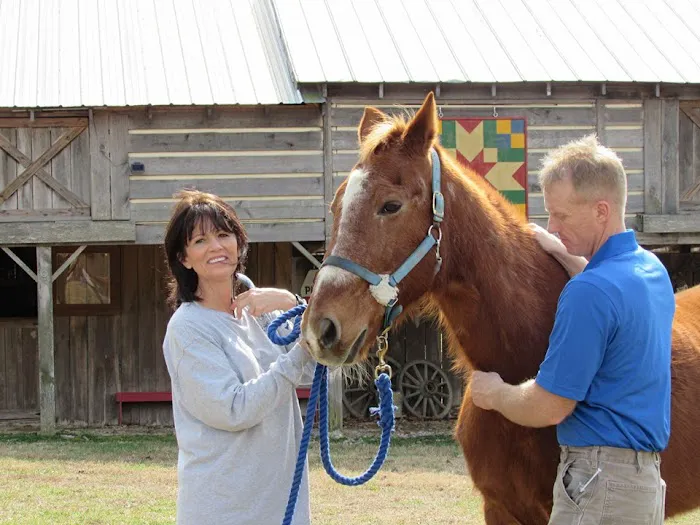 Logan Bethel Veterinary Services 7