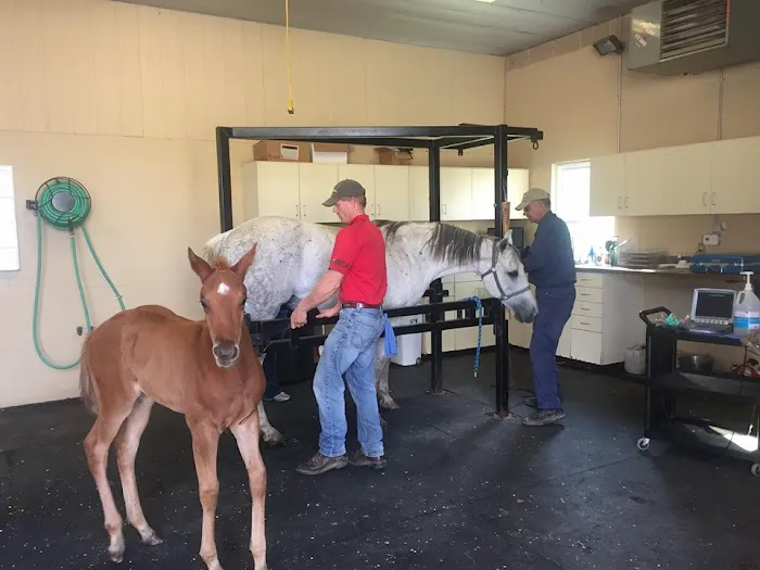 Logan Bethel Veterinary Services 4