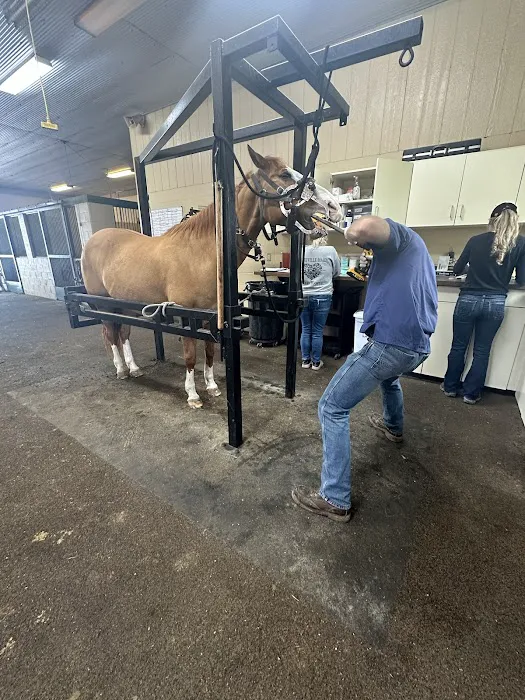 Logan Bethel Veterinary Services 6