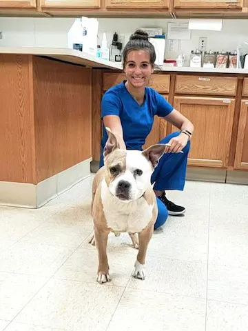 Brown Animal Hospital 8