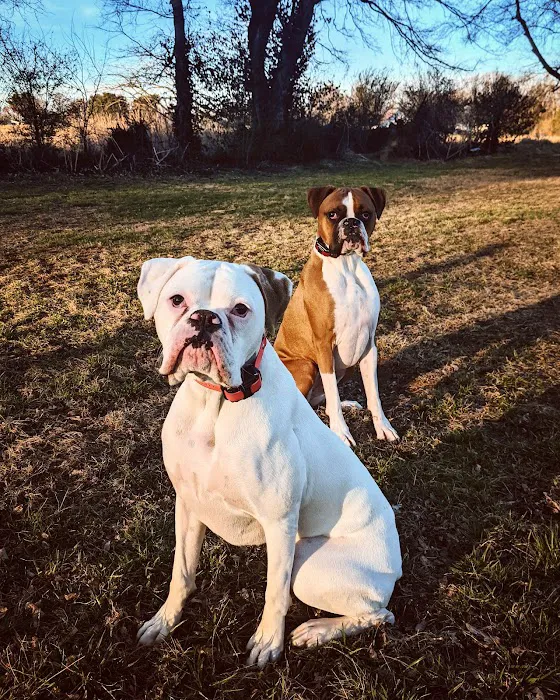 Nashville Road Animal Hospital 9