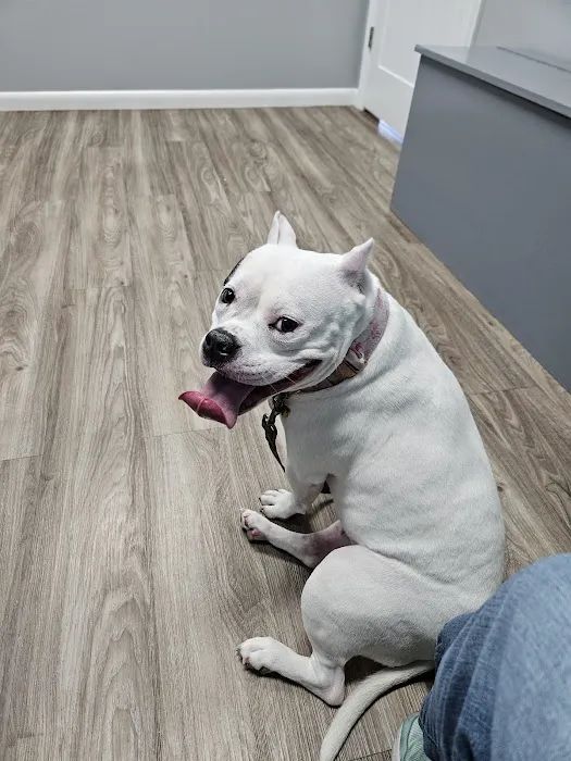 Nashville Road Animal Hospital 3
