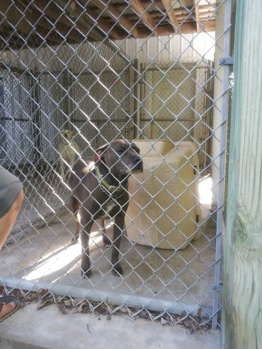 Nashville Road Animal Hospital 1