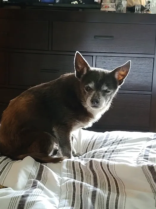 Nashville Road Animal Hospital 5