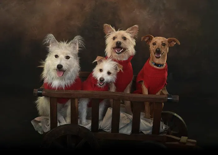 Smith Veterinary Hospital 1