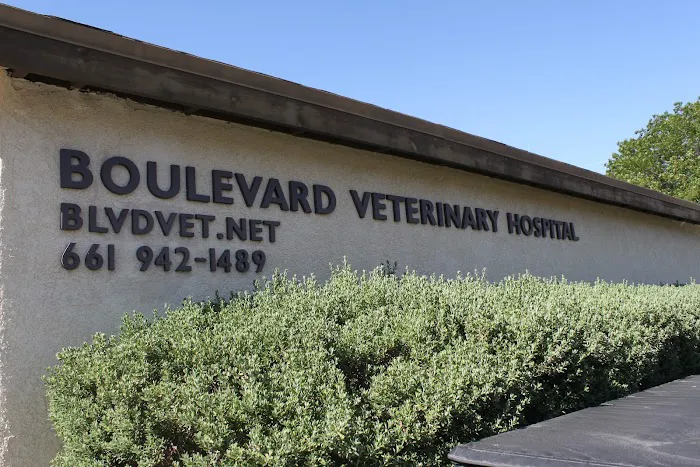 Boulevard Veterinary Hospital 2