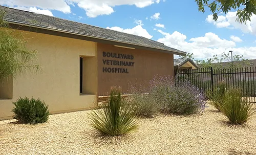 Boulevard Veterinary Hospital 1