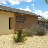 Boulevard Veterinary Hospital ico