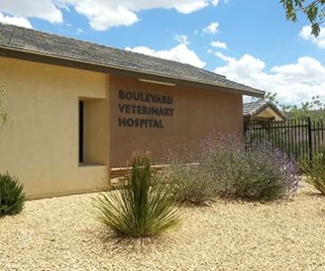 Boulevard Veterinary Hospital
