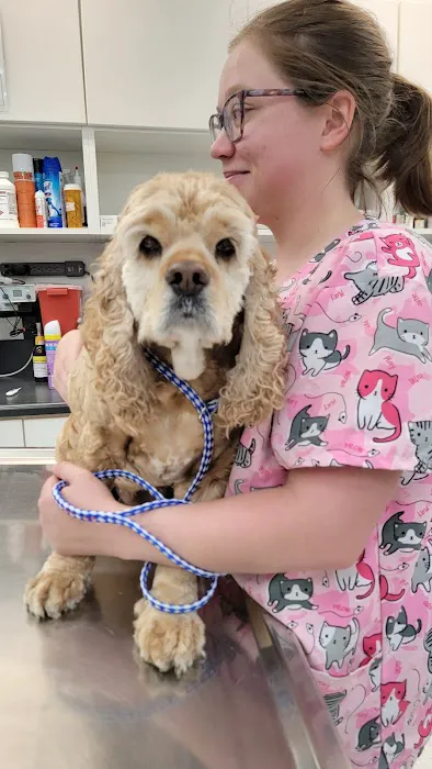 Boulevard Veterinary Hospital 6