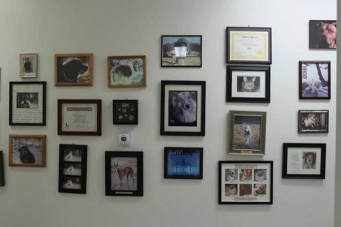 Boulevard Veterinary Hospital 7