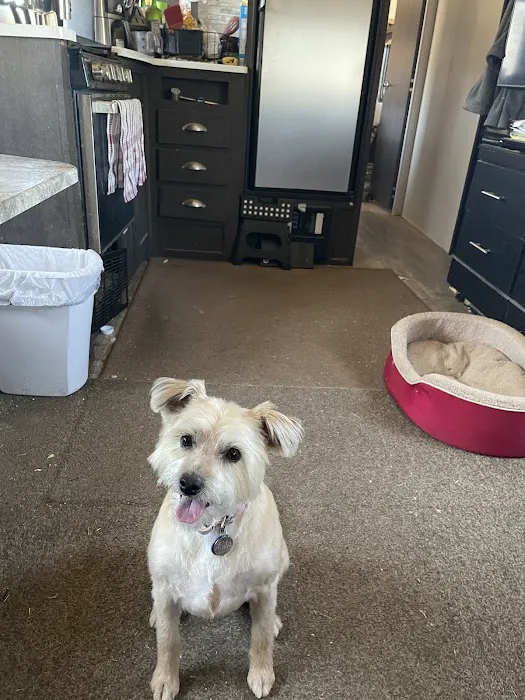 Sears Veterinary Hospital 3