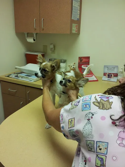 Animal Clinic of the Oaks 3