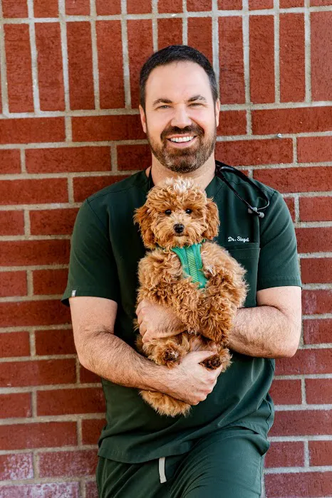 The Pet Hospital of Thousand Oaks 3