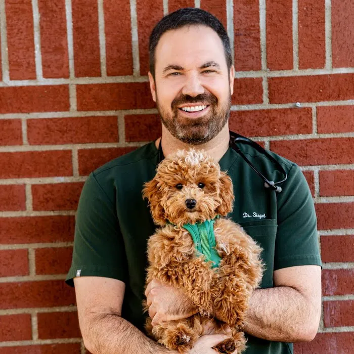 The Pet Hospital of Thousand Oaks 7