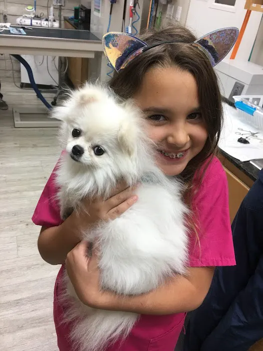 VCA Camino Animal Hospital 5