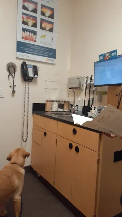 Banfield Pet Hospital 7