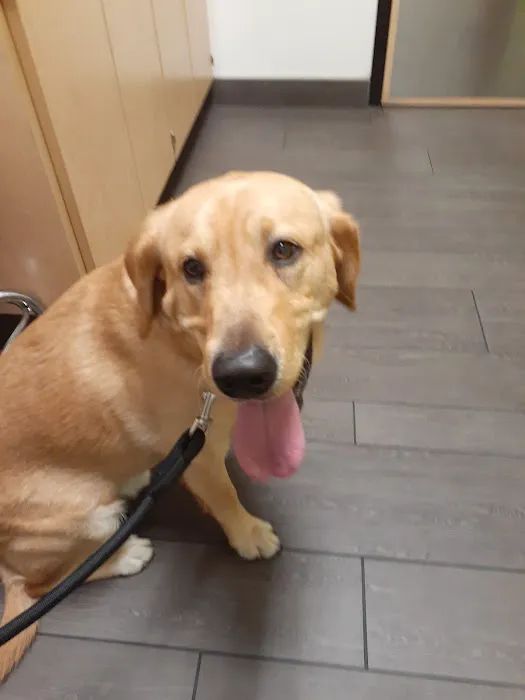 Banfield Pet Hospital 4