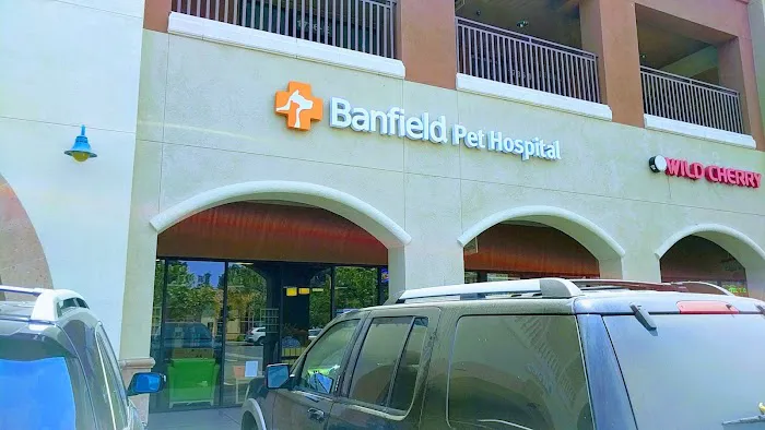 Banfield Pet Hospital 3
