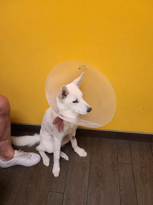 Banfield Pet Hospital 1