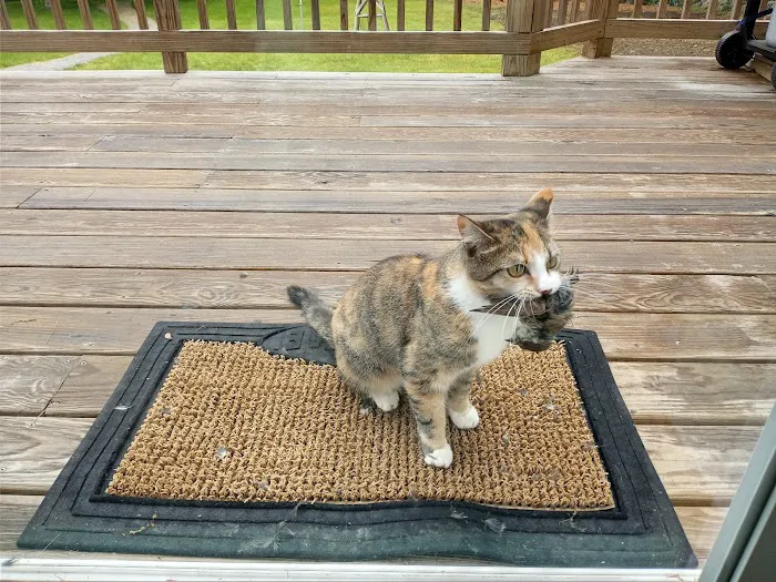 Animal Care Clinic-Monadnock 1