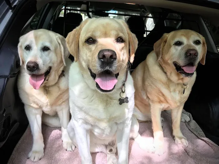 Animal Care Clinic-Monadnock 5