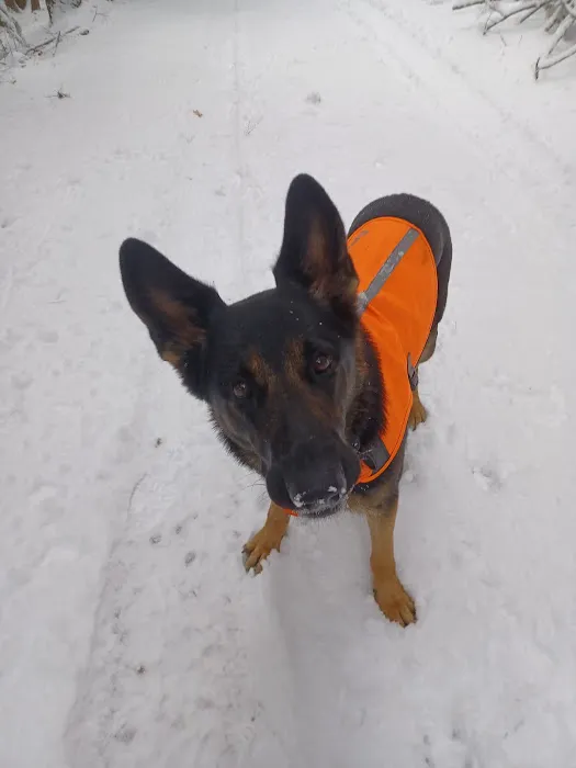 Animal Care Clinic-Monadnock 4
