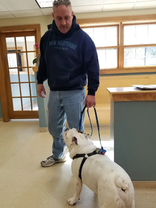 Wilton Animal Hospital 9