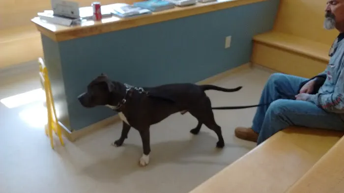 Wilton Animal Hospital 5