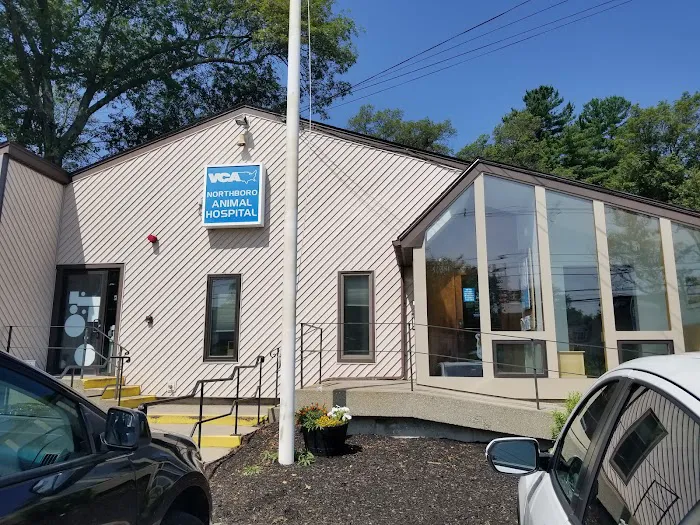 VCA Northboro Animal Hospital 9