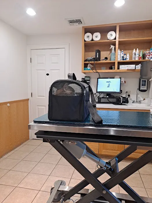 VCA Northboro Animal Hospital 8