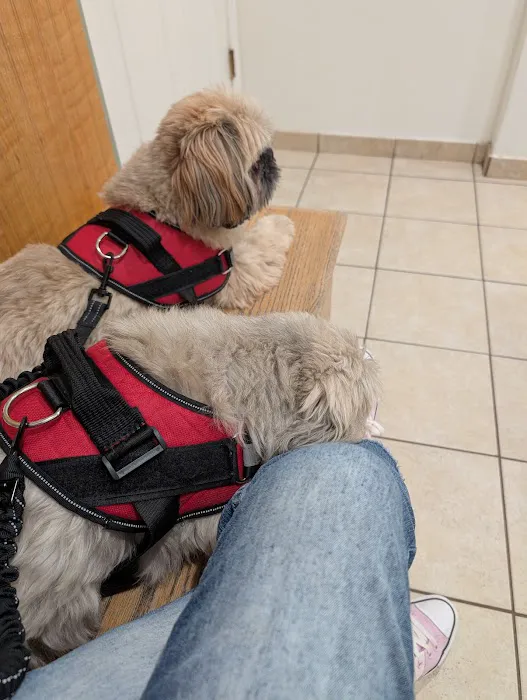 VCA Northboro Animal Hospital 1