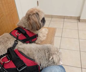VCA Northboro Animal Hospital