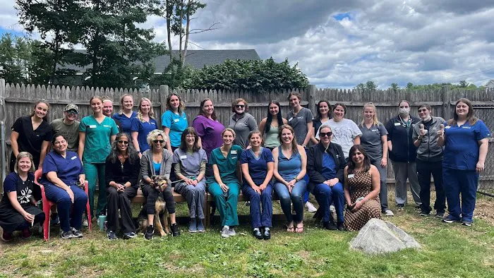 VCA Northboro Animal Hospital 7