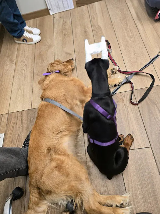 VCA Westboro Animal Hospital 5