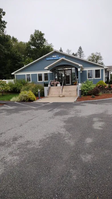 VCA Westboro Animal Hospital 1