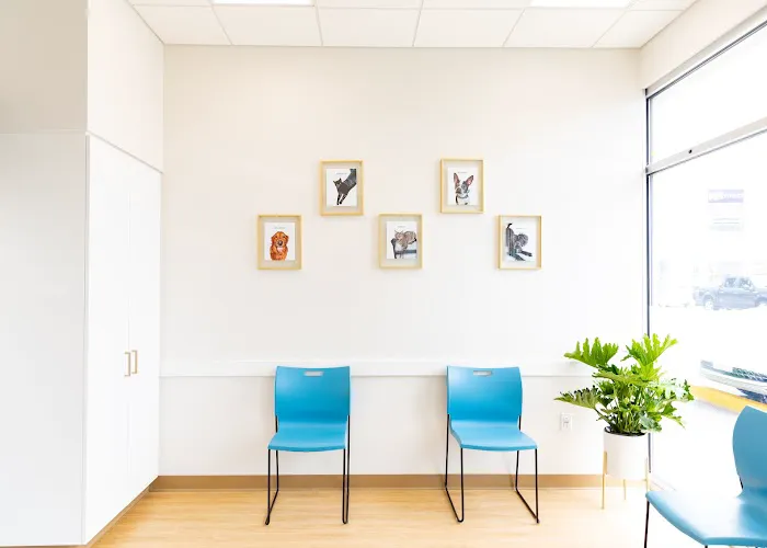 PetMedic Urgent Care Vet Clinic - Westborough 10
