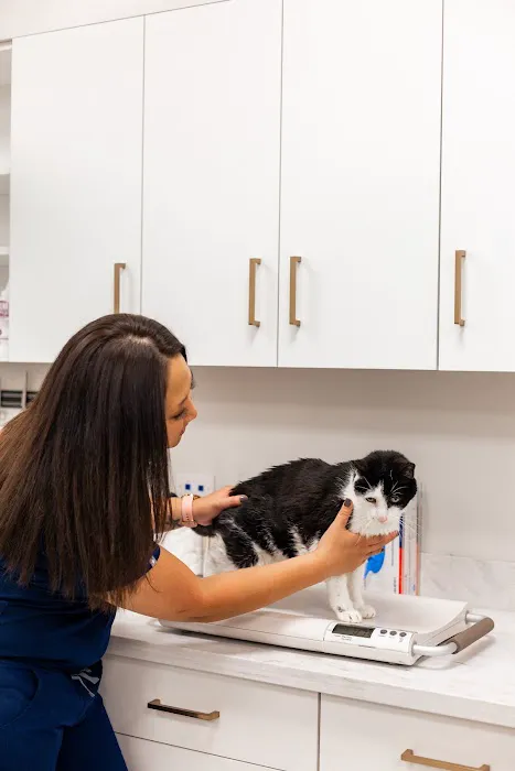 PetMedic Urgent Care Vet Clinic - Westborough 8