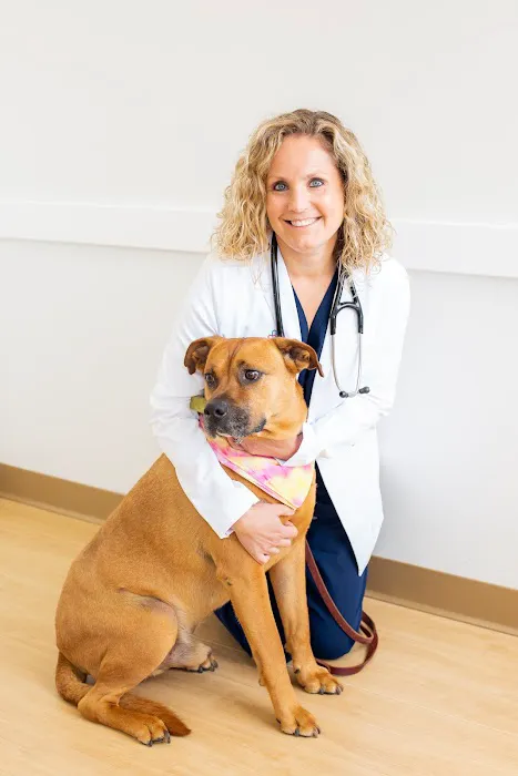 PetMedic Urgent Care Vet Clinic - Westborough 7