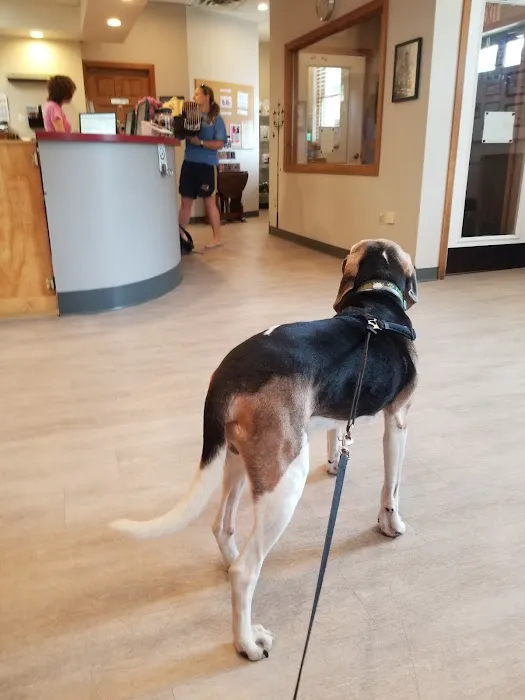 Hudson Animal Hospital 8