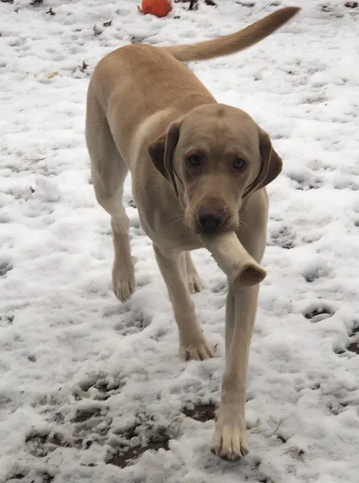 Hudson Animal Hospital 4