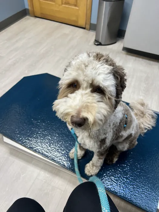 Hudson Animal Hospital 1