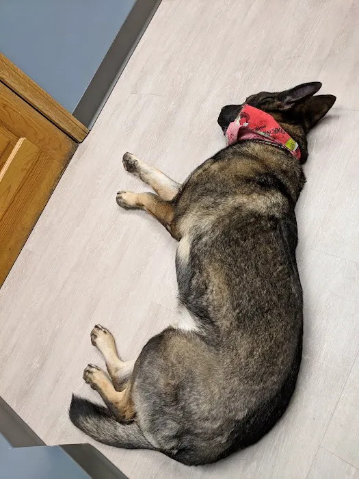 Hudson Animal Hospital 3