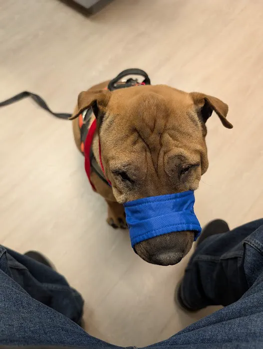 Hudson Animal Hospital 10