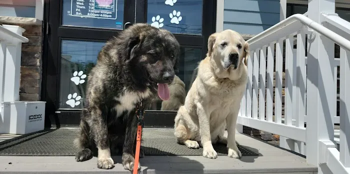 Marlboro Animal Hospital 4